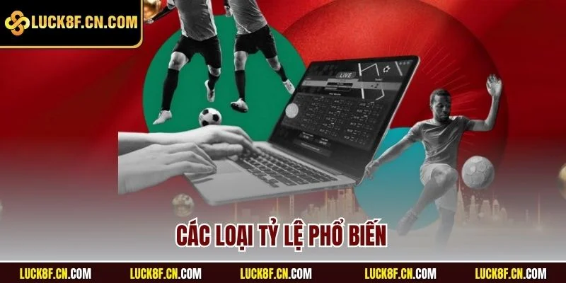 Các loại tỷ lệ phổ biến